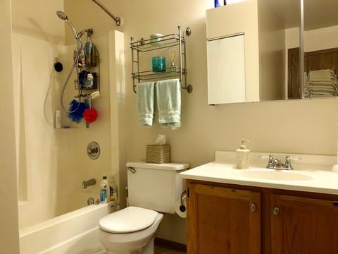 1319 Post Oak Ct, Crest Hill, IL 60403 photo 8