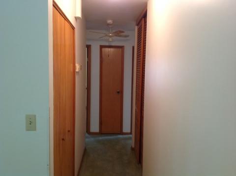 1504 Locust Ave, Rantoul, IL 61866 photo 5