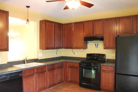 3408 Cameron Dr, Elgin, IL 60124 photo 5