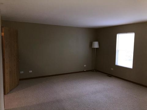 5018 Corning Ct, Plainfield, IL 60586 photo 22