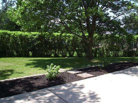 13630 S Katy Ct, Plainfield, IL 60544 photo 35