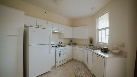 3115 Town Square Dr #304, Rolling Meadows, IL 60008 photo 8