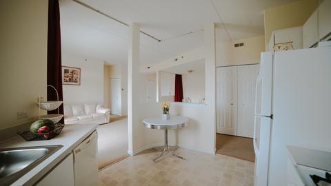 3115 Town Square Dr #304, Rolling Meadows, IL 60008 photo 10