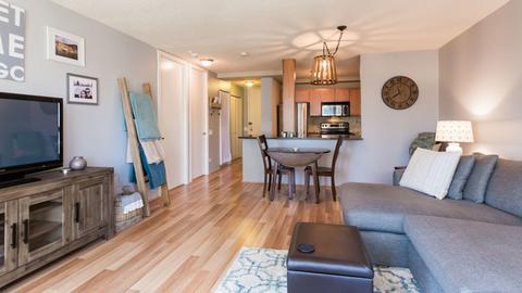 30 E Huron St #3010, Chicago, IL 60611 photo 8