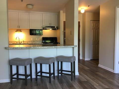3255 Kirchoff Rd #203, Rolling Meadows, IL 60008 photo 2