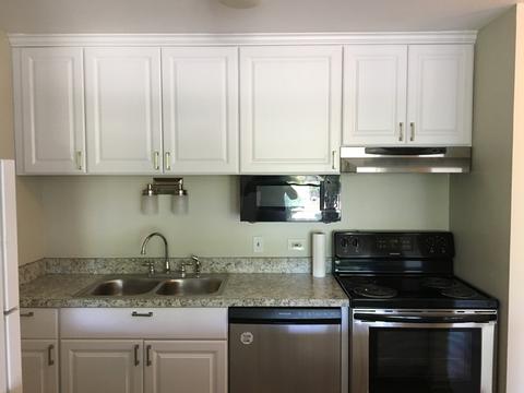 3255 Kirchoff Rd #203, Rolling Meadows, IL 60008 photo 5
