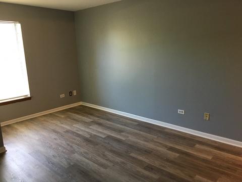 3255 Kirchoff Rd #203, Rolling Meadows, IL 60008 photo 9