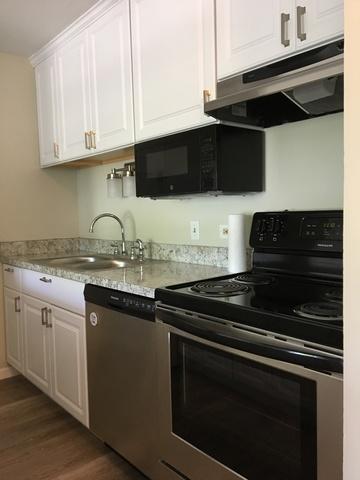 3255 Kirchoff Rd #203, Rolling Meadows, IL 60008 photo 4