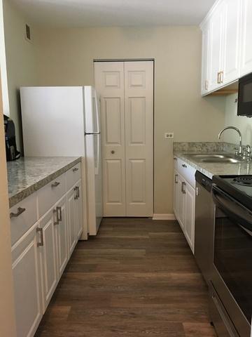 3255 Kirchoff Rd #203, Rolling Meadows, IL 60008 photo 3