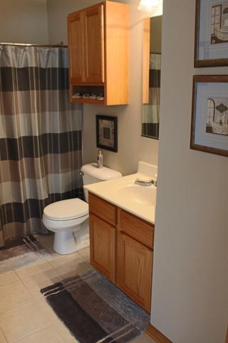 12416 Falcon Dr, Plainfield, IL 60585 photo 22