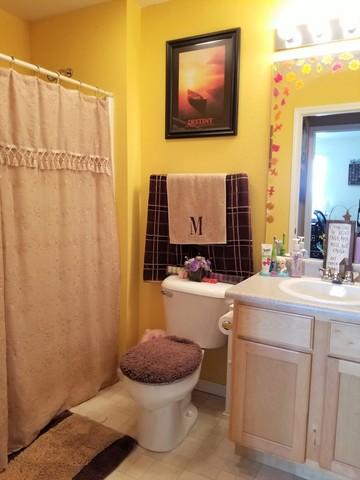 608 Corey Ln, Champaign, IL 61822 photo 30