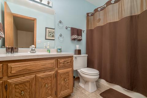 15559 W Eamon Ct, Manhattan, IL 60442 photo 15