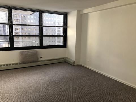 33 E Cedar St #14D, Chicago, IL 60611 photo 12