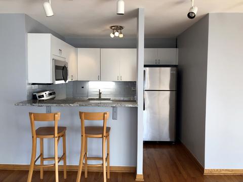 33 E Cedar St #14D, Chicago, IL 60611 photo 6