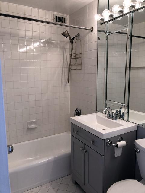 33 E Cedar St #14D, Chicago, IL 60611 photo 11