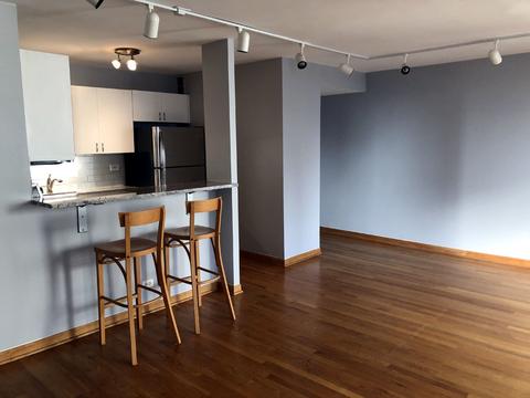 33 E Cedar St #14D, Chicago, IL 60611 photo 9