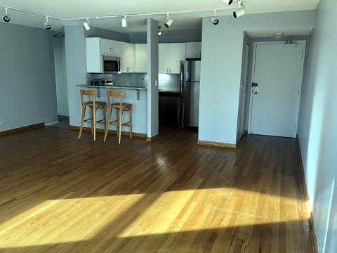 33 E Cedar St #14D, Chicago, IL 60611 photo 8