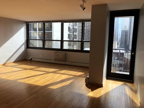 33 E Cedar St #14D, Chicago, IL 60611 photo 2