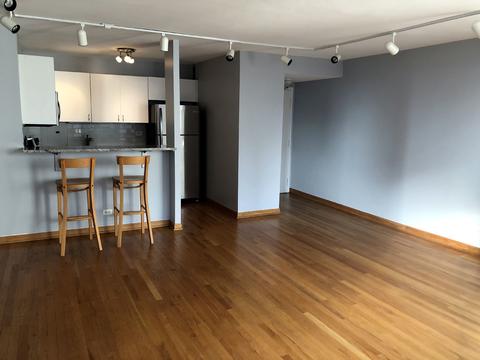 33 E Cedar St #14D, Chicago, IL 60611 photo 10
