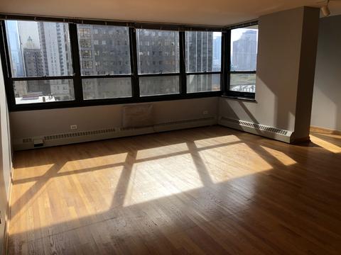 33 E Cedar St #14D, Chicago, IL 60611 photo 3