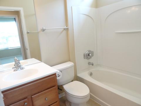2826 Beacon Point Cir, Elgin, IL 60124 photo 13