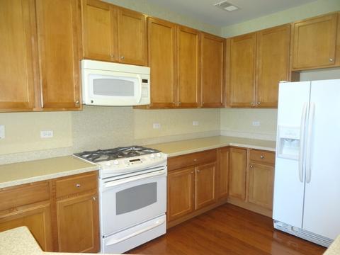 2826 Beacon Point Cir, Elgin, IL 60124 photo 6
