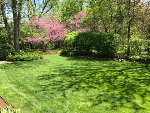 2 S335 Arrowhead Dr, Wheaton, IL 60189 photo 39