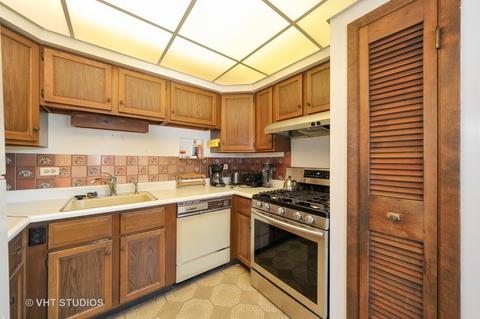 506 E Holly Ave, Mount Prospect, IL 60056 photo 6