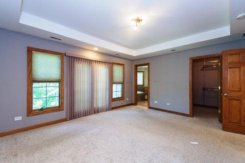 3811 Amber Ct, Plainfield, IL 60586 photo 28