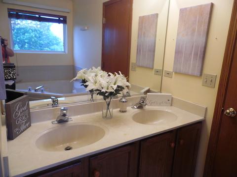 1917 Arbor Fields Dr, Plainfield, IL 60586 photo 13