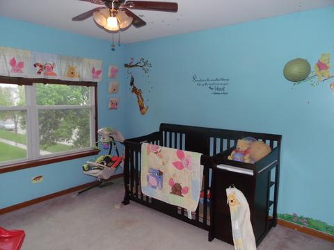 1917 Arbor Fields Dr, Plainfield, IL 60586 photo 12