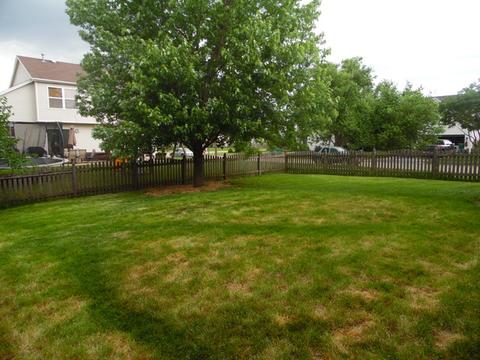 1917 Arbor Fields Dr, Plainfield, IL 60586 photo 18