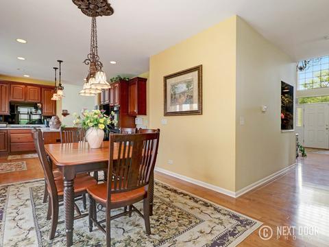 1041 Kingsmill Dr, Algonquin, IL 60102 photo 9