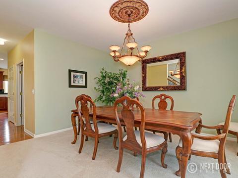 1041 Kingsmill Dr, Algonquin, IL 60102 photo 20