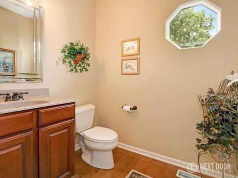 1041 Kingsmill Dr, Algonquin, IL 60102 photo 22