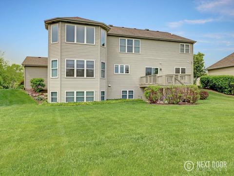 1041 Kingsmill Dr, Algonquin, IL 60102 photo 45