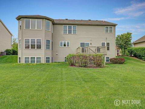 1041 Kingsmill Dr, Algonquin, IL 60102 photo 43