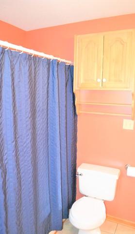255 E 6th Ave, Clifton, IL 60927 photo 9