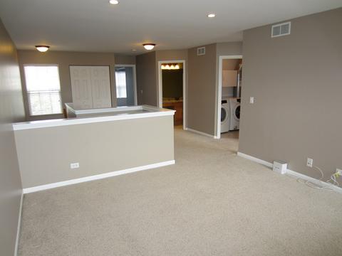 24064 Walnut Cir, Plainfield, IL 60585 photo 11