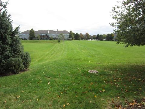 24064 Walnut Cir, Plainfield, IL 60585 photo 20