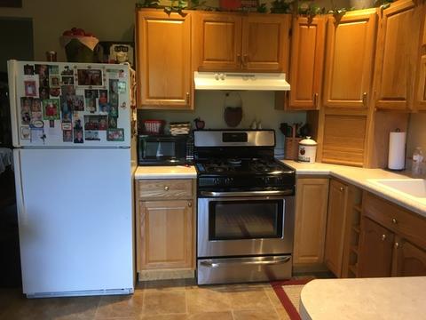 213 E James St, Dwight, IL 60420 photo 7