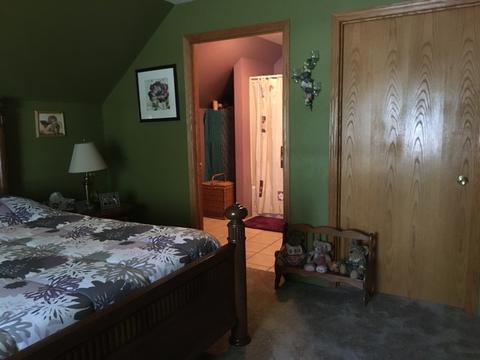 213 E James St, Dwight, IL 60420 photo 13