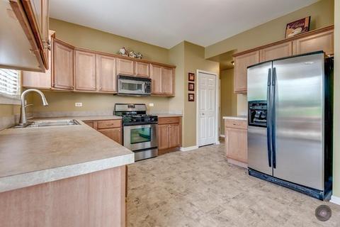 12952 Parterre Pl, Plainfield, IL 60585 photo 10