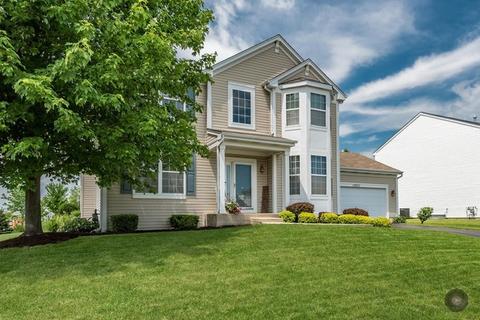 12952 Parterre Pl, Plainfield, IL 60585 photo 1