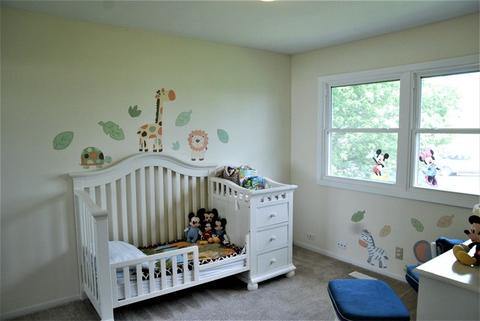 355 Stoney Brook Ct, Algonquin, IL 60102 photo 21