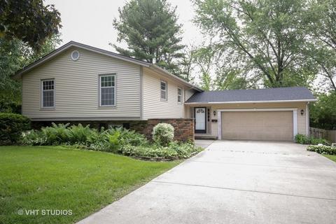 641 Webster St, Algonquin, IL 60102 photo 1