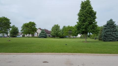 830 Casey Ln, Harvard, IL 60033 photo 19