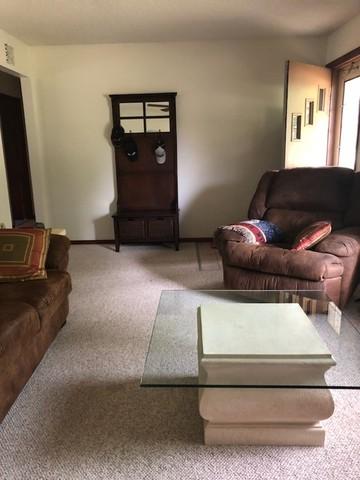 449 N Champaign St, Bement, IL 61813 photo 4