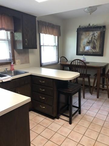 449 N Champaign St, Bement, IL 61813 photo 8