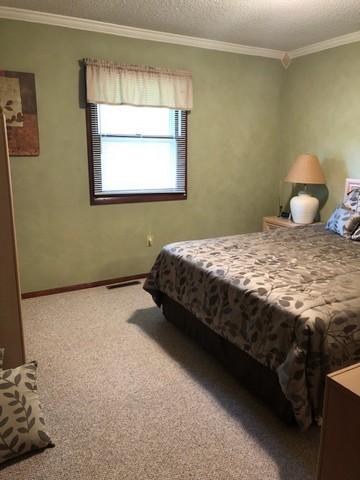449 N Champaign St, Bement, IL 61813 photo 13